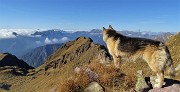 48 Dori sulla cima del Pietra Quadra...osserva il grandioso panorama a est